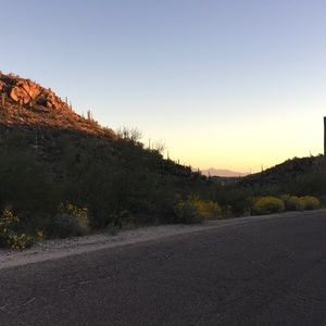 Meet your Posher, Noah